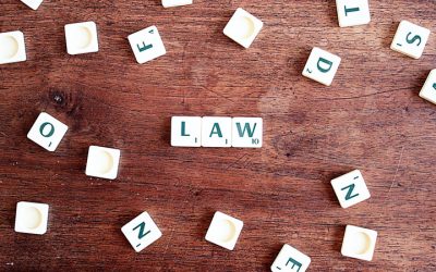 The Basics of Non-Traditional Family Law and Property Rights